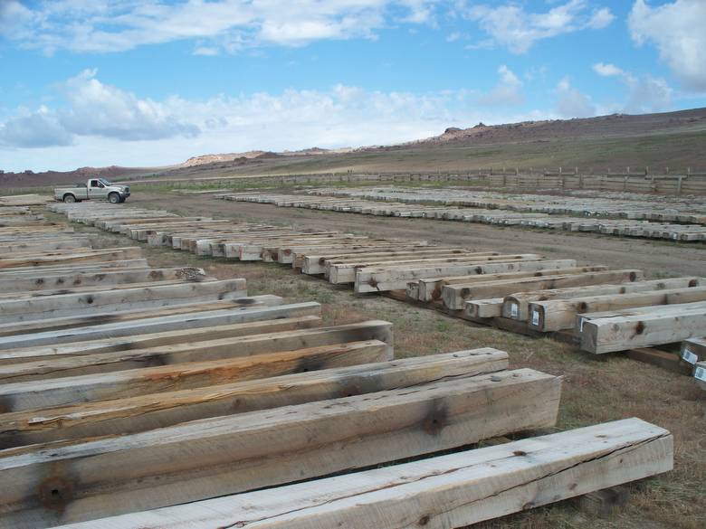 Weathered Harbor Fir